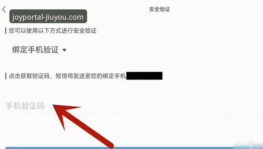 九游官网平台安全登录与使用完全指南